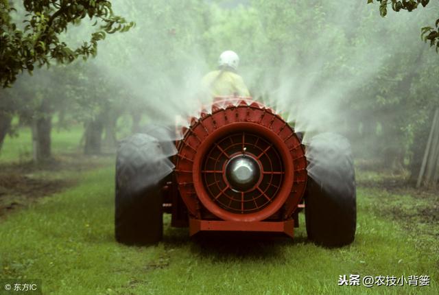 防治禾本科和阔叶类杂草，这些除草剂常见常用、低毒安全又高效！4