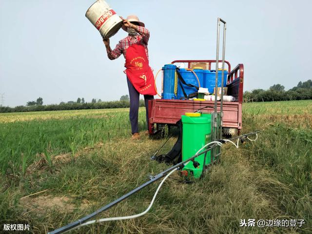 夏季农药什么时间喷洒好？夏季农药喷洒技巧，不懂的朋友看过来3