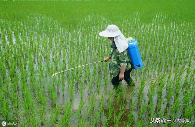 作物病虫害严重，不知道用啥药怎么办？最新指南，名单大全！8