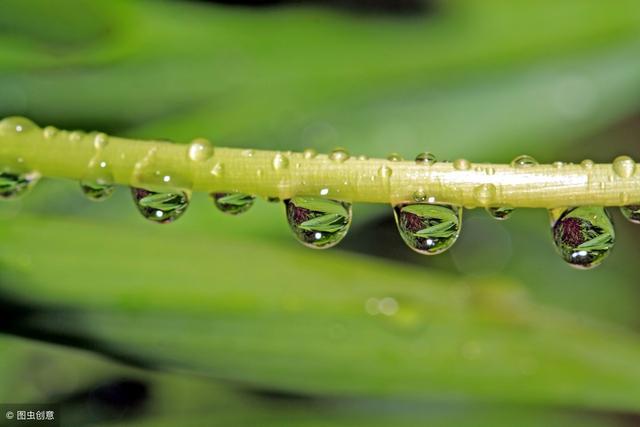 和風細雨風景圖片(雨中大自然美景圖片)_手工miao