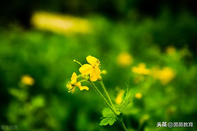 雷雨的拼音