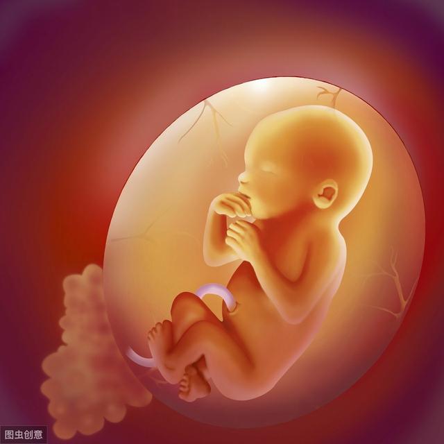 试管婴儿怎么做？专家：4步流程要了解，祝你心中有数好孕来