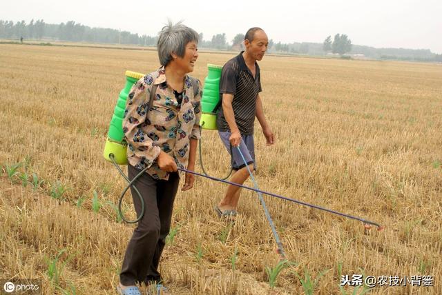 草甘膦与草铵膦同属广谱、高效、灭生类除草剂，差别竟然这么大2