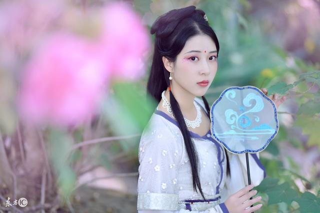 小妮子穿越小说9元一本(小妮子9元一本的穿越小说大全)