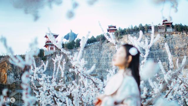 掌上明珠小说全本免费(掌上明珠小说免费全文阅读)