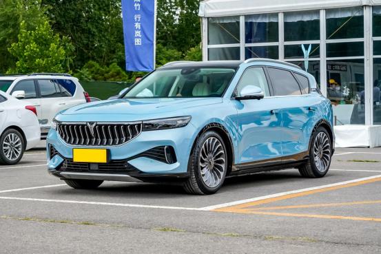 轴距近3米，总扭矩1040Nm，售价31.36万起，解析岚图FREE