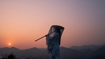 穿越到古代当县令女主姓上官(她是上官县令捧在手心的明珠)