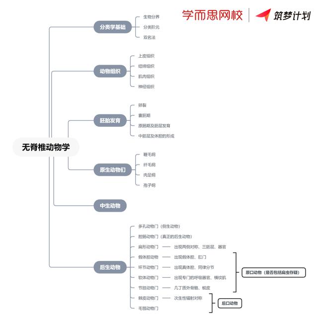 光明老师专栏 四 动物学复习建议 动物学杂志