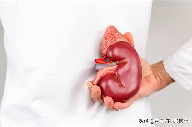 冬季这样补肾，养五脏，调肌瘤，健康过冬