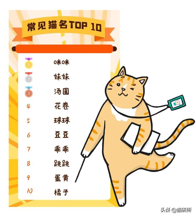 猫名字