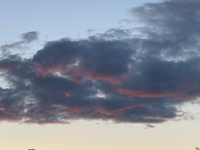 意不意外? 华为P50 Pro首测2: 网友要求再拍10组对比, 逼出它影像极限