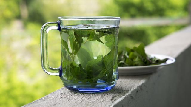 早安，保护好你的肠胃