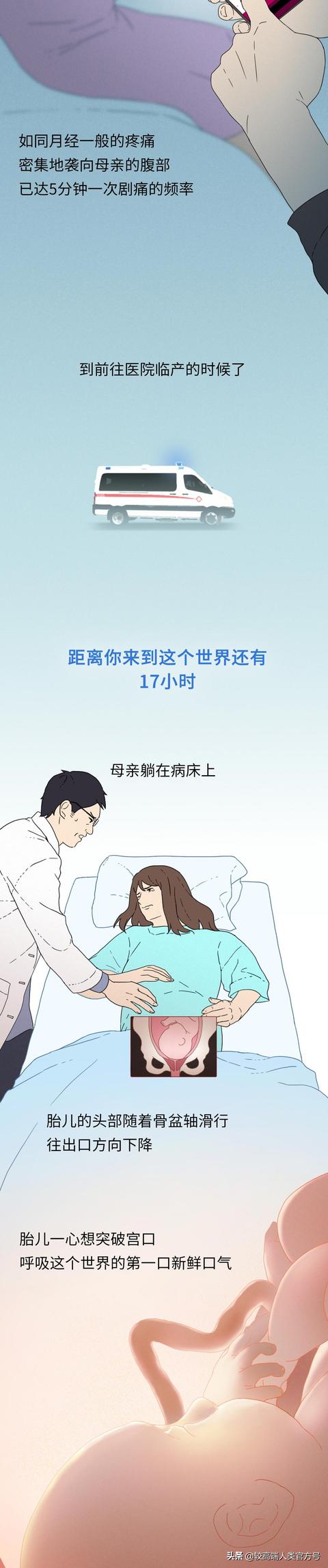 你出生前的24小时，都经历了什么？