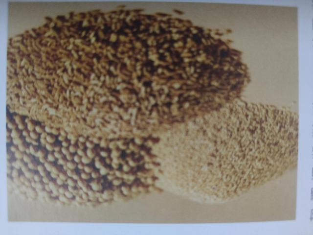 用粗粮熬粥美容养颜润肺