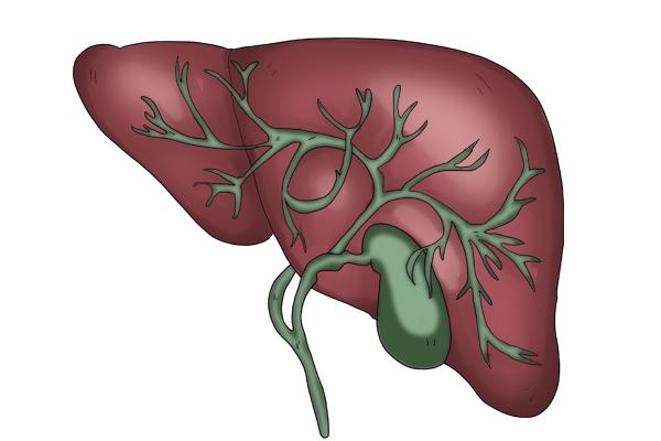 大妈喝中药养生喝出肝损伤，中药为什么会伤肝？应该怎么吃？