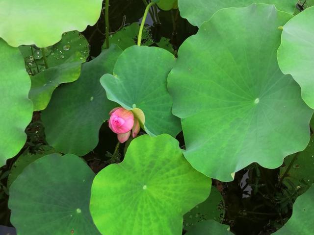 请一定善待自己的孩子