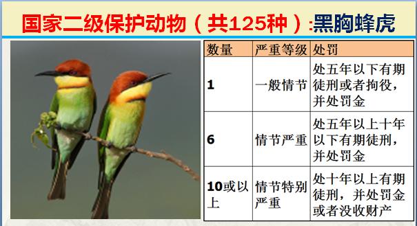 国家二级保护动物有哪些