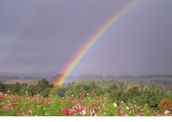 80后妈妈分享自己一波三折的生娃经历——龙宝篇