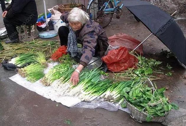 从最近“城管拎摔老人”事件，说说给农民建立退休制度这件事