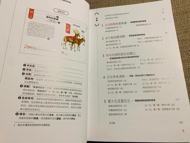 从长着蝴蝶结角的古生物到丰富的现生生物，我沉迷这本书不可自拔