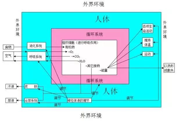 初中各科思维导图全汇总（语文、数学、地理、历史、化学、生物）