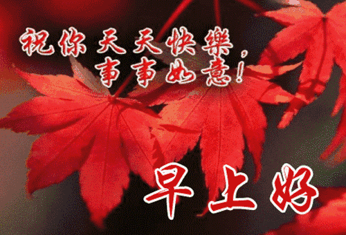 周末愉快高情商回复（周末高情商的问候）