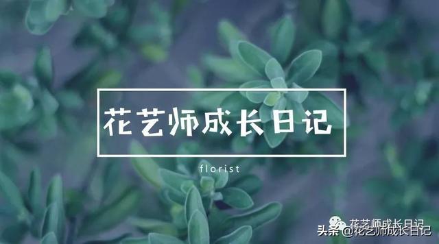 7朵玫瑰代表什么（7朵玫瑰代表什么意思）