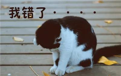 陪娃读书的苦，谁陪谁知道。只有鸡汤没有鸡饲料？对不起我不需要