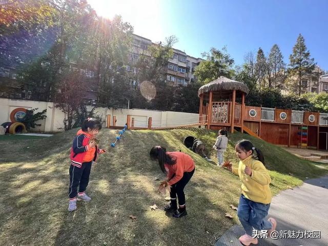 「班级风采」落叶知秋