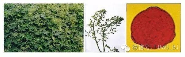 徐州全自动陶瓷过滤机厂家