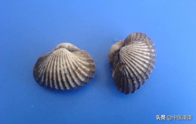 瓦楞子、螺蛳壳，来源于食物的中药材