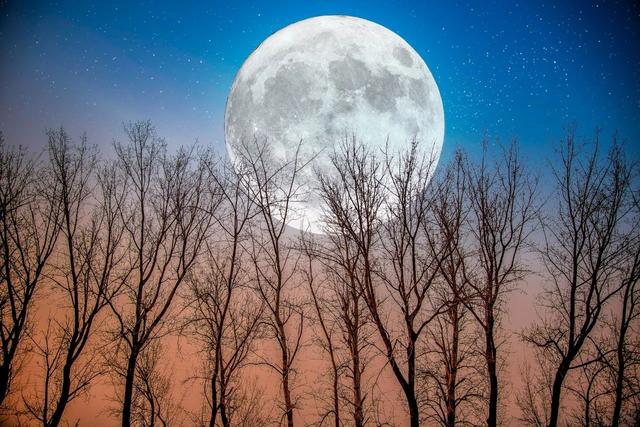 中秋节思乡的诗句有哪些（10首经典中秋古诗词）