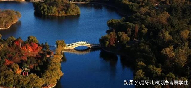 张珍玉丨“肝胆同治”理论及用药经验总结