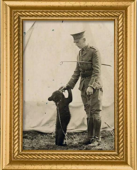 绘本《寻找维尼》深入解读