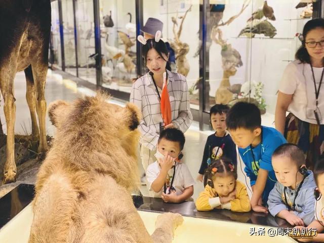 亲子打卡！科学探索，细菌好有趣啊，参观1000+件标本