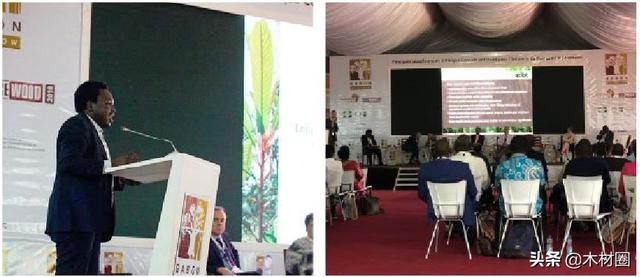 3月15日广州木工机械展