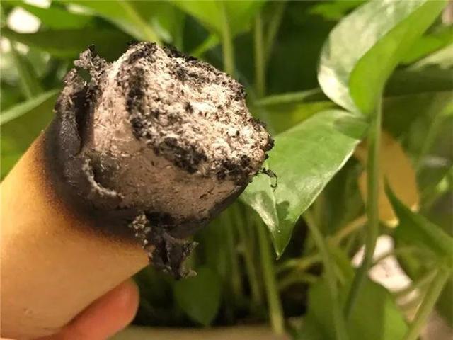 能磨芝麻核桃破碎机