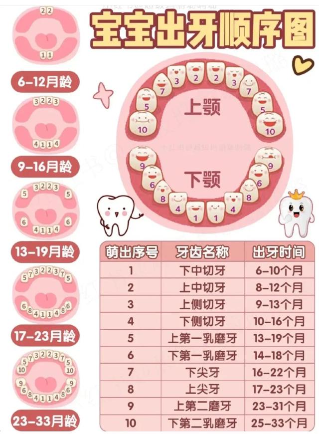 宝宝出牙顺序图 今日热点