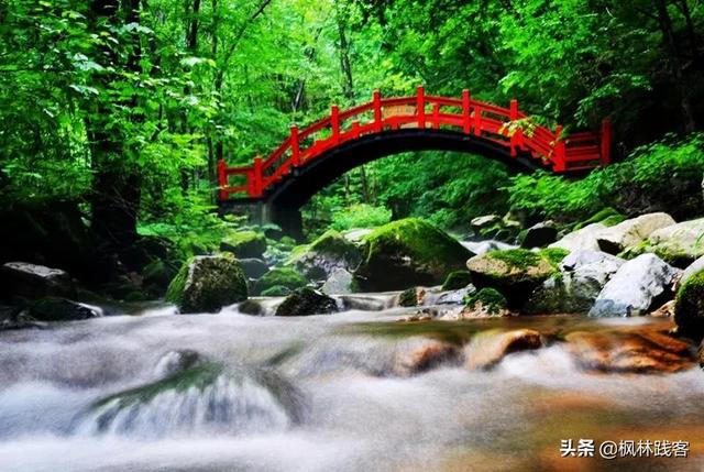這個七夕唯愛永恒，到遼寧楓林谷山林間感受山河浪漫