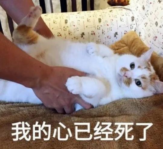 由日本人投资的韩国版腾讯有多猛？靠着IP换皮，捣鼓出40多款游戏
