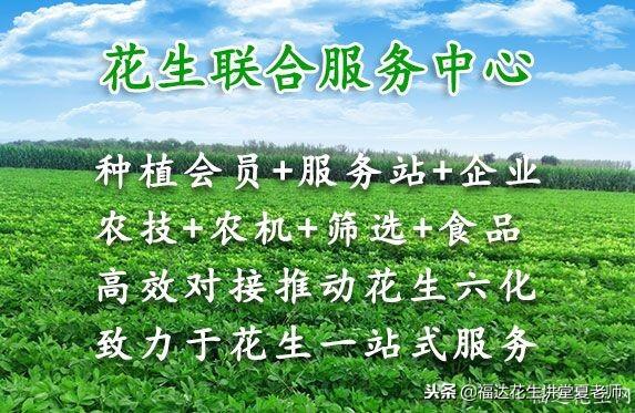 新郑机械展