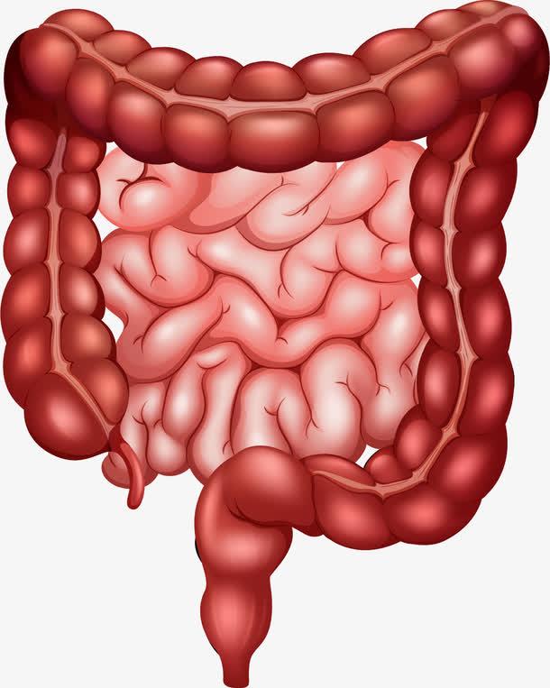 儿童功能性消化不良，可以药物治疗吗？
