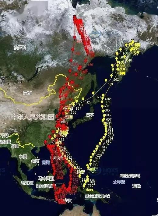 燕子少多了？这锅我们不背，死亡迁徙数万里，却被端上了非洲餐桌