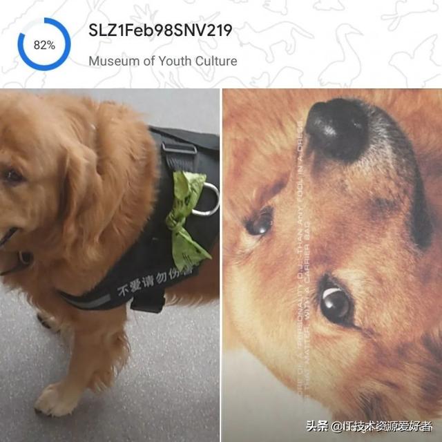 能检测乳腺癌，还能让渐冻症患者“开口说话”，谷歌这次有点东西