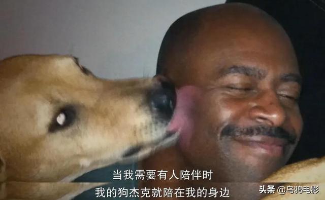 罗德西亚脊背犬