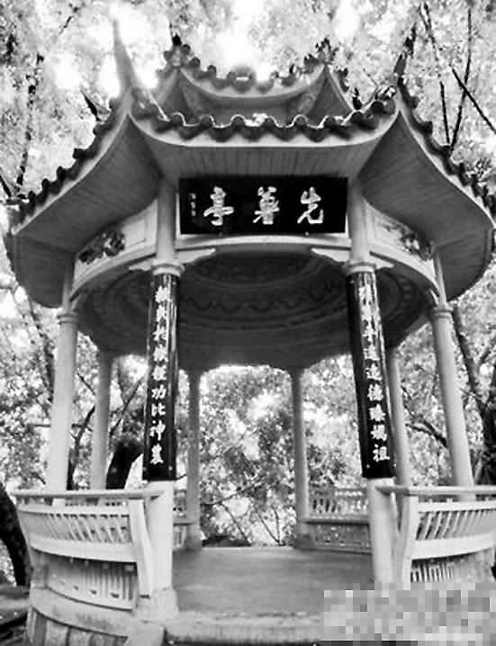 一个明朝商人从海外带回了一根藤，中国人口暴涨三亿
