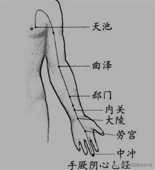 「经络养生」手上有条经是心脏“保护神”！刮痧+艾灸，一泻一补，胜过吃人参