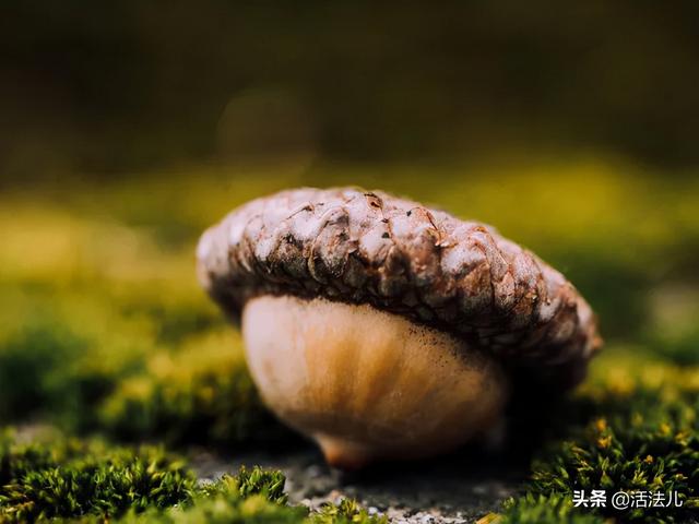 中秋将至，无论有钱没钱，记得做好这1件事，给你的身体排排毒