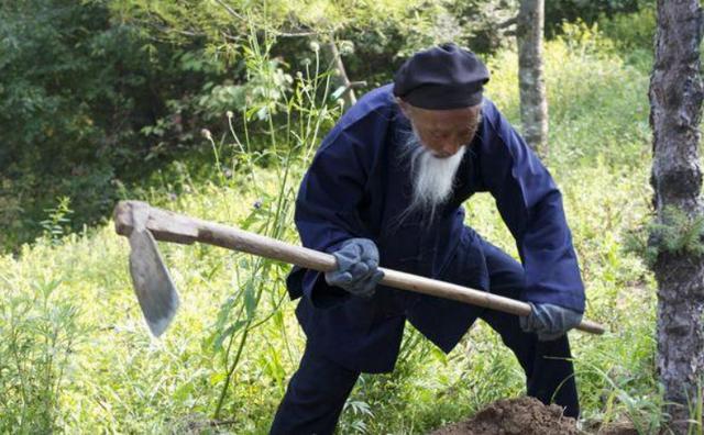 没去过医院！104岁无疾而终的道长：长寿不难，难的是健康长寿