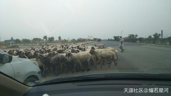 深入阿三腹地——奇葩印度的十日見聞